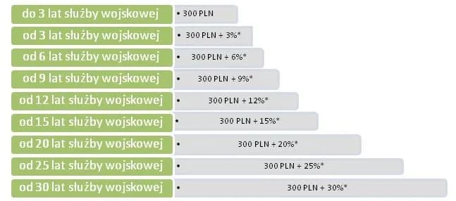 Jak wyliczyć wynagrodzenie pracownika powołanego do zawodowej służby wojskowej i uniknąć błędów w obliczeniach